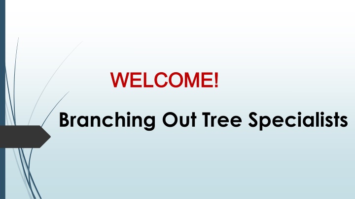 Best Tree Removal in Yorkeys Knob