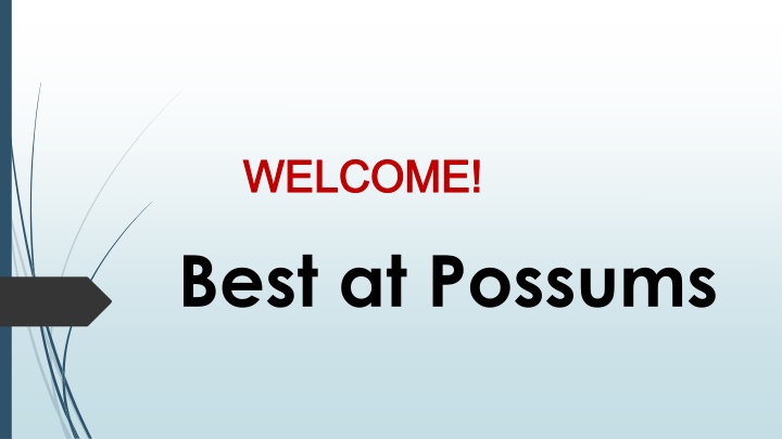 Best Pest Control in Lower Plenty