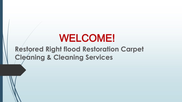 Best Wet Carpet Drying Services in Rosebery