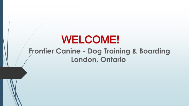 Best Dog Grooming in Lobo Twp