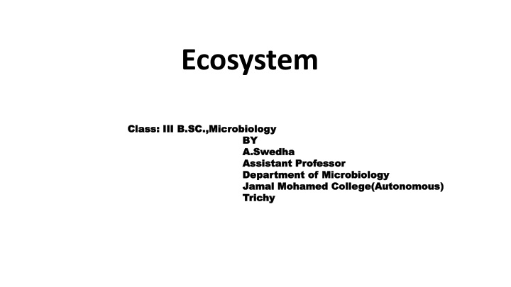 ecosystem n.