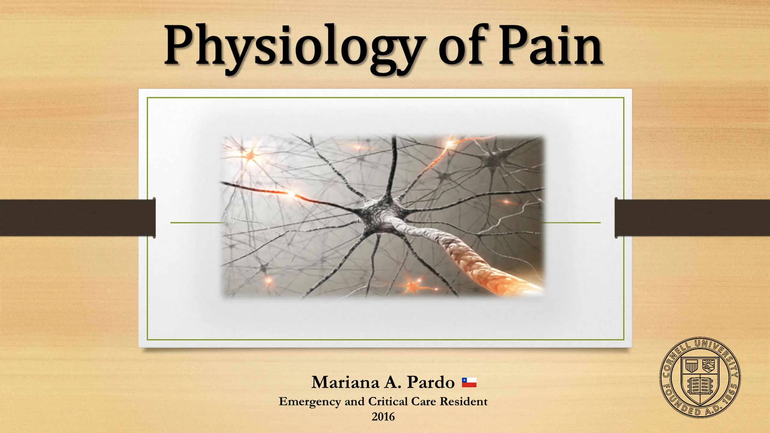 Physiology of Pain