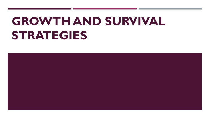 Growth Strategies for Business Success