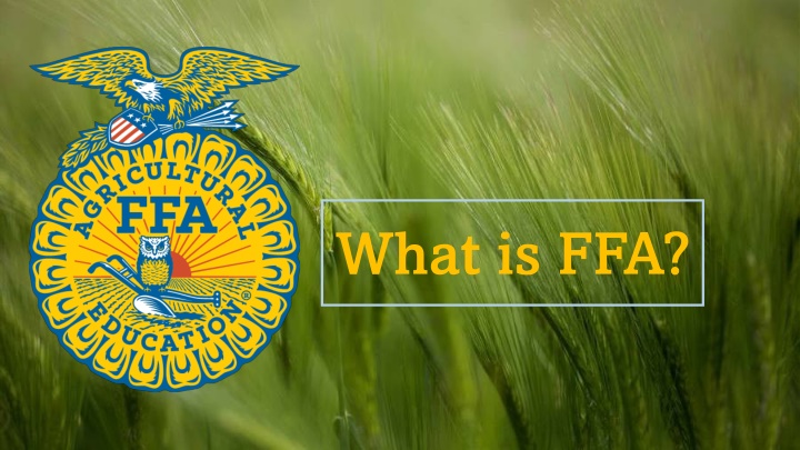 FFA - Empowering Youth for Leadership in Agriculture