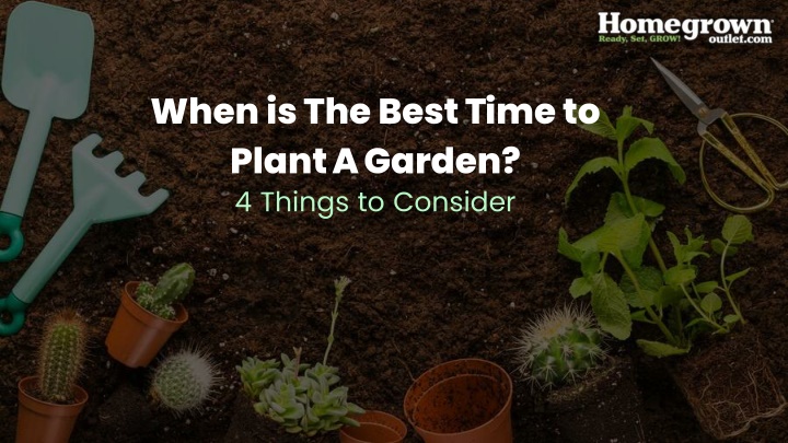 When is The Best Time to Plant A Garden
