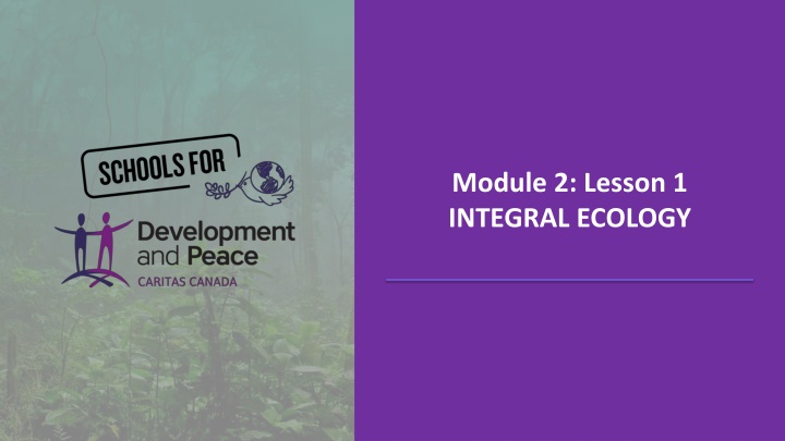 Exploring the Vital Role of the Amazon Basin in Integral Ecology