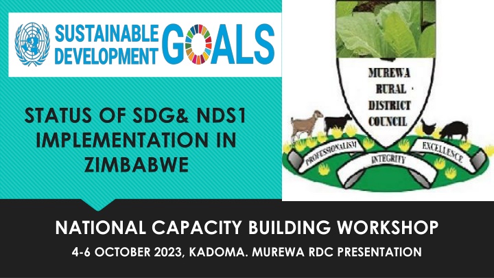 Progress in Implementing SDGs and NDS1 in Zimbabwe: National Capacity Building Workshop Insights