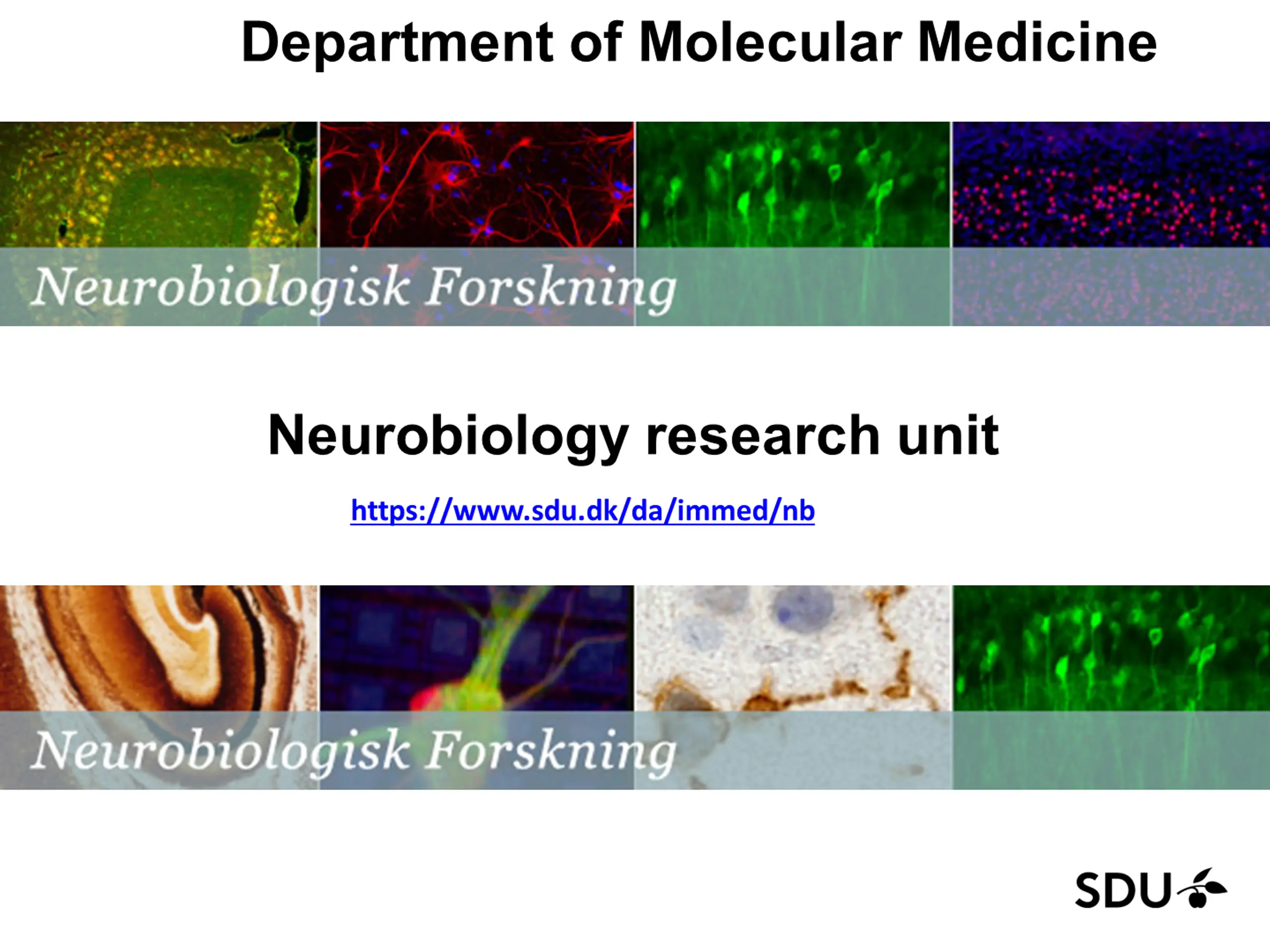 Neurobiology research unit