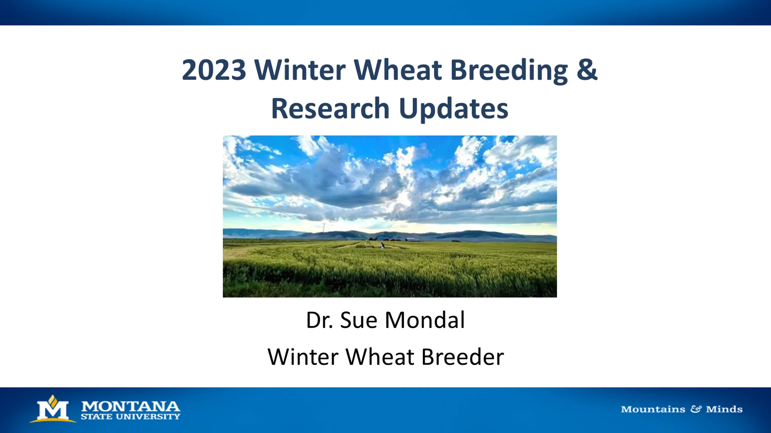 2023 Winter Wheat Breeding & Research Updates