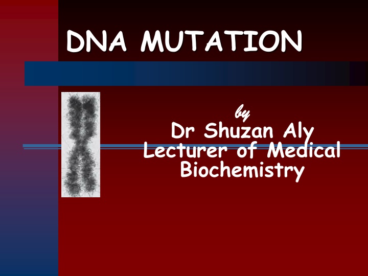 DNA Mutations and Their Types