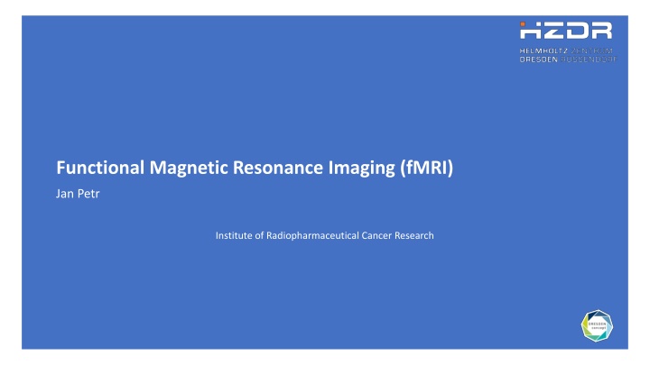 Comprehensive Overview of Brain Imaging Techniques and Anatomy