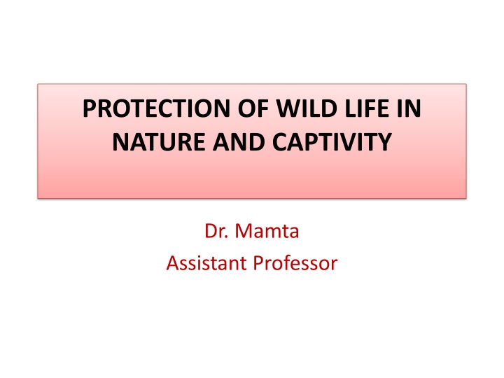 Wildlife Protection and Welfare Issues in Nature and Captivity