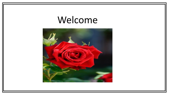 English Lesson: Write to Me Soon! - Unit 8, Lessons 5-6