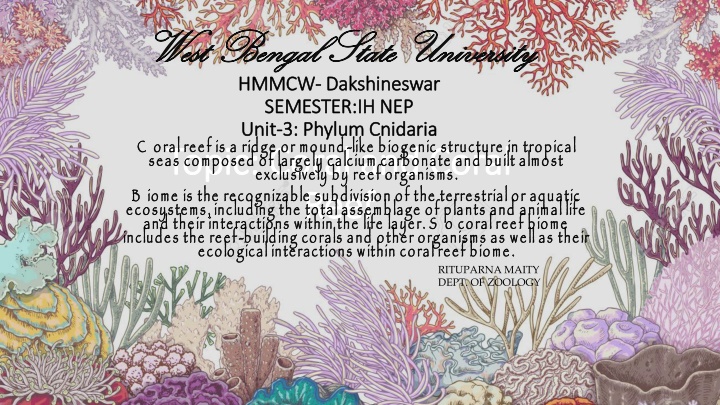 The Fascinating World of Coral Reefs and Their Biodiversity