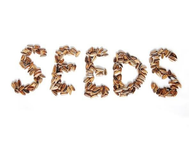 The Fascinating World of Seeds: Shapes, Sizes, and Survival Strategies