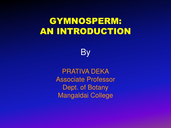Introduction to Gymnosperms: Key Characteristics and Features