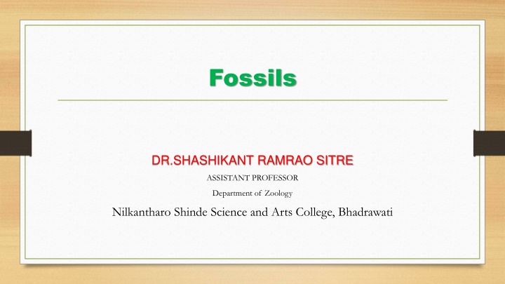 The Fascinating World of Fossils