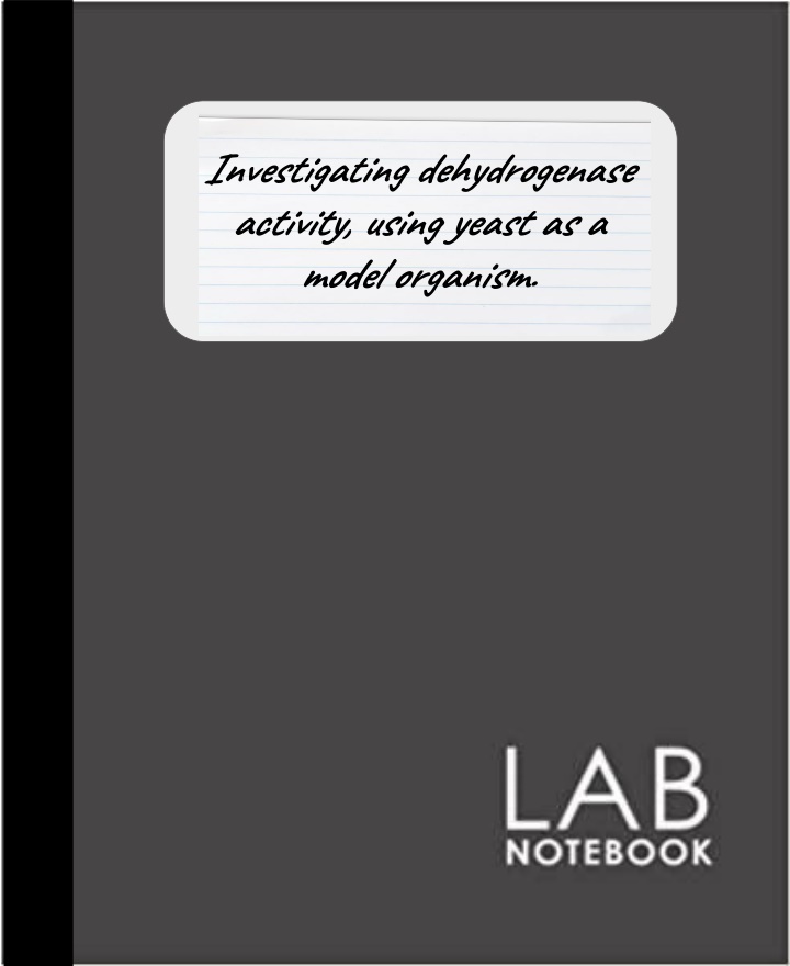 Investigating Dehydrogenase Activity Using Yeast