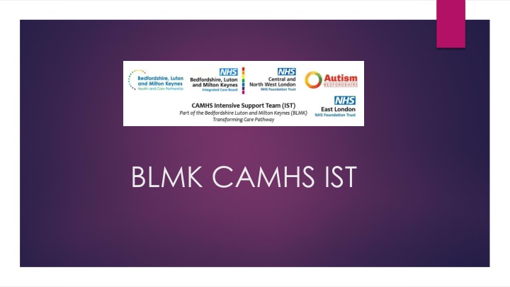BLMK.CAMHS.IST Team Overview