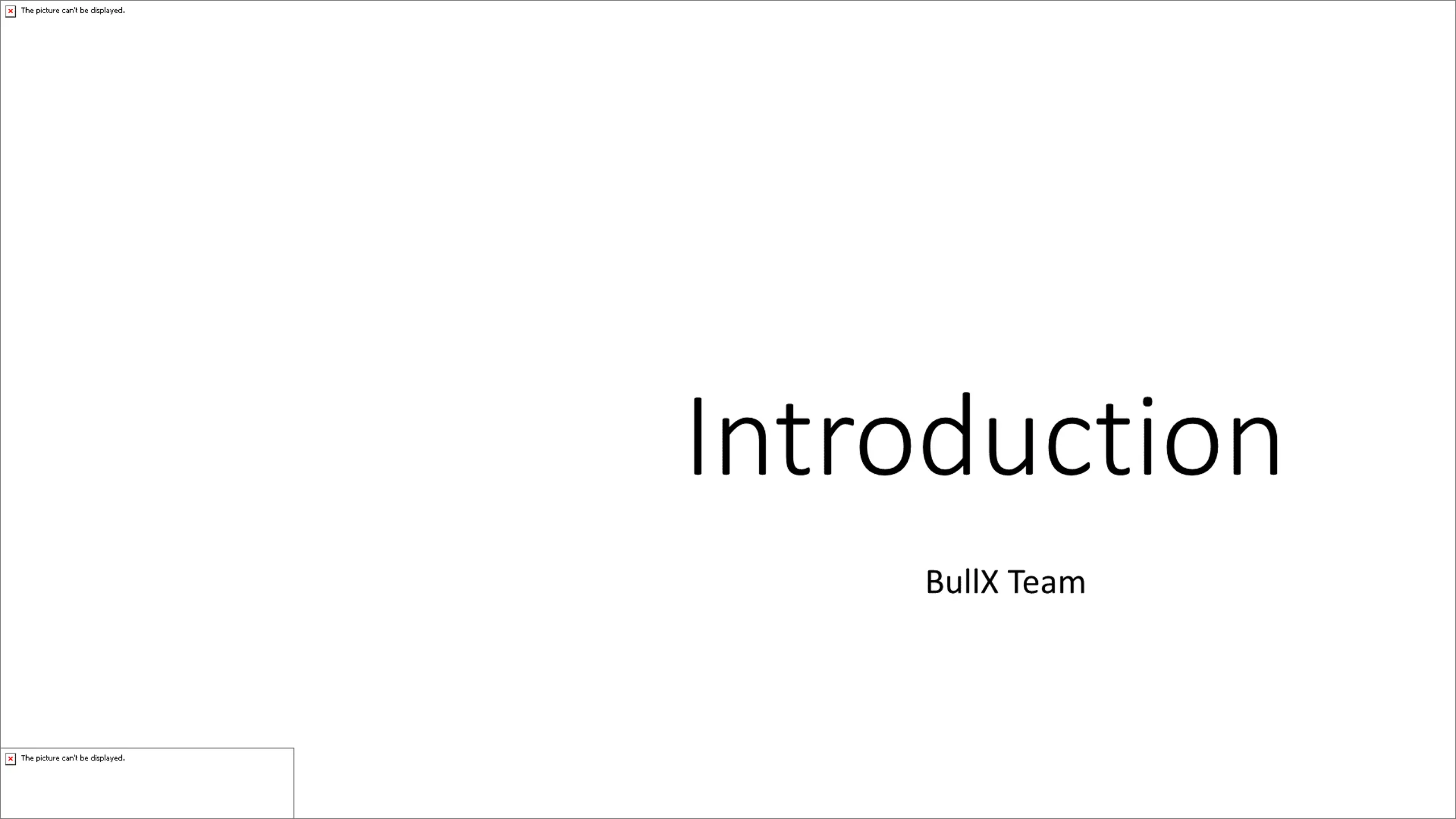BullX Team - Introduction