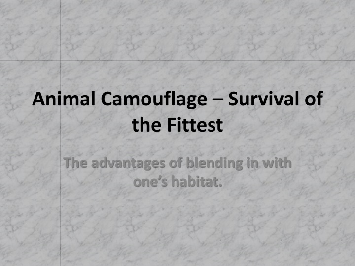 Animal Camouflage and its Importance in Survival