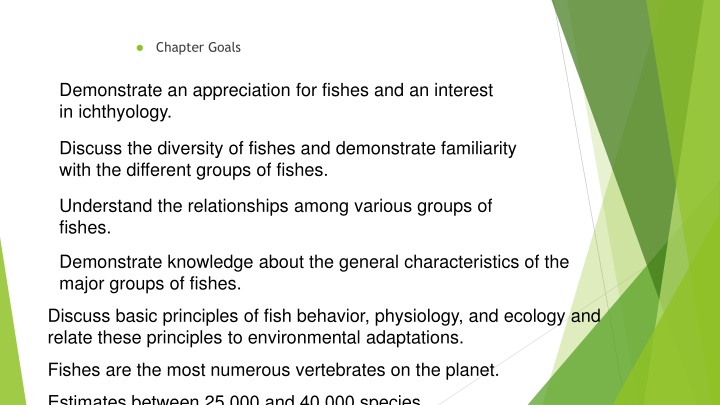 The Fascinating World of Fishes: A Comprehensive Overview