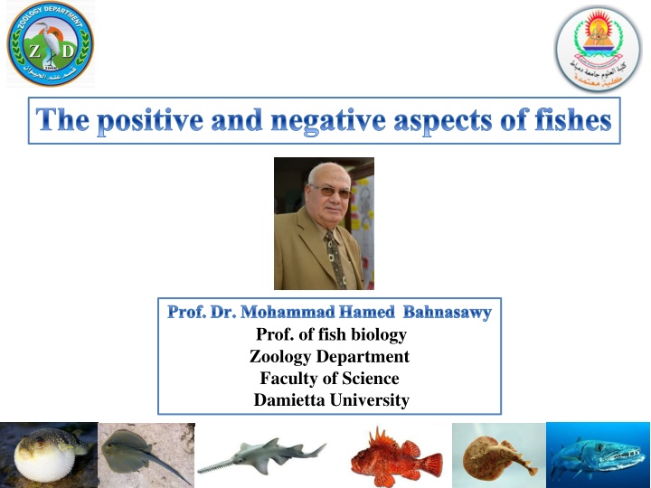 The Positive and Negative Aspects of Fishes