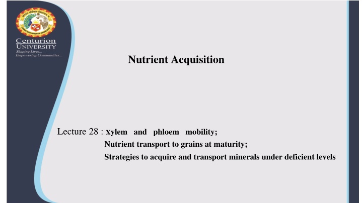Nutrient Acquisition