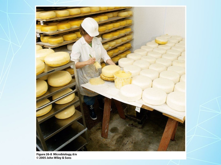 Role of Microorganisms in Food and Industry