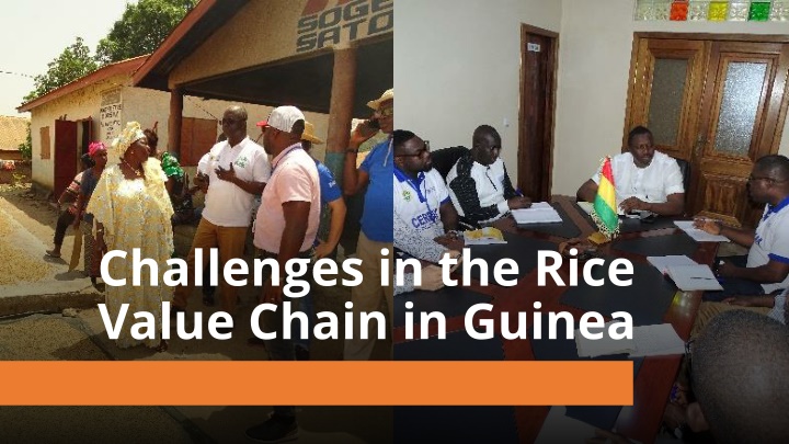 Challenges in the Rice Value Chain in Guinea