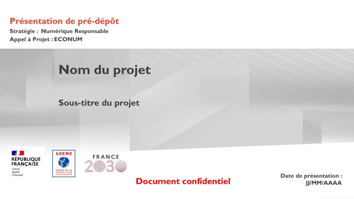 Strategic Digital Initiative Presentation for ECONUM Project