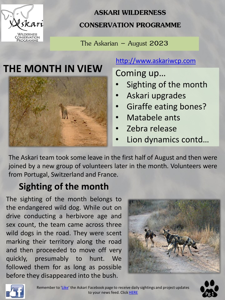 Askari Wilderness Conservation Programme August 2023 Newsletter