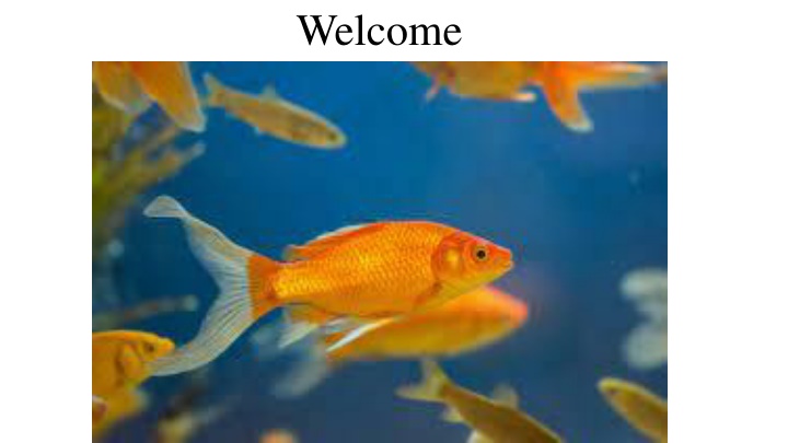 Engaging Animal Sounds Lesson for Grade 1 English Class