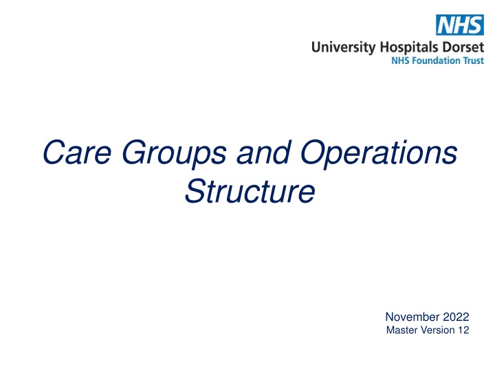 care groups and operations structure n.