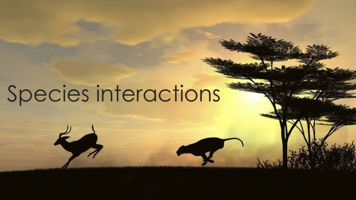 Species Interactions and Predator-Prey Dynamics