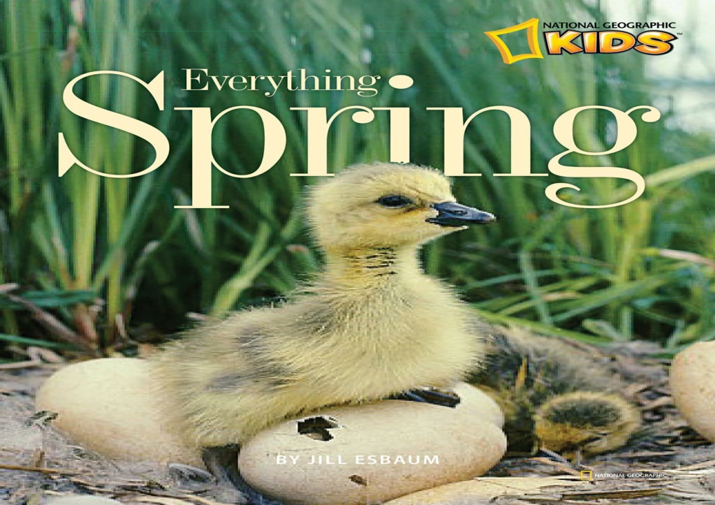 read pdf everything spring picture the seasons l.w