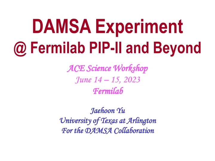 Dark Sector Particles at Fermilab PIP-II and Beyond