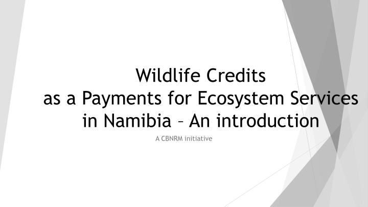 Exploring Wildlife Credits: Payments for Ecosystem Services in Namibia
