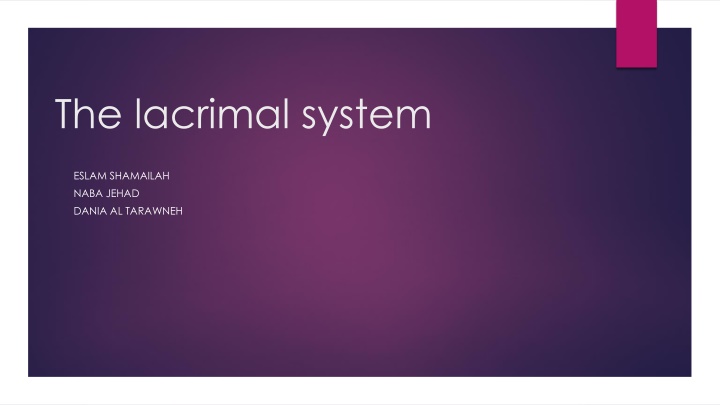 The lacrimal system