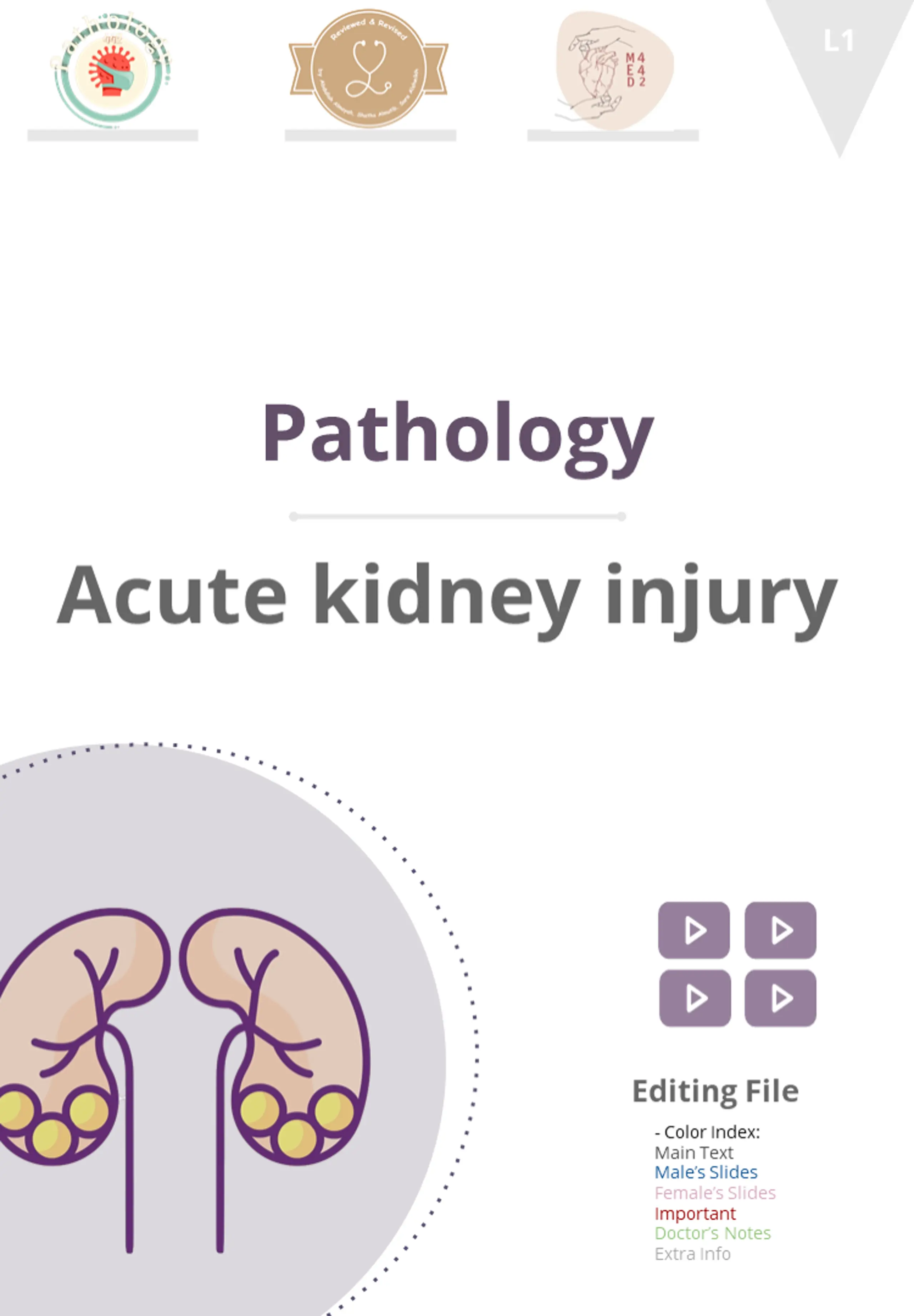 Pathology Acute kidney injury