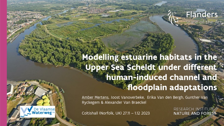 Modelling Estuarine Habitats in the Upper Sea Scheldt: Human-Induced Adaptations