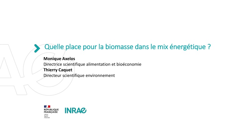 The Role of Biomass in the Energy Mix: Perspectives and Prospects
