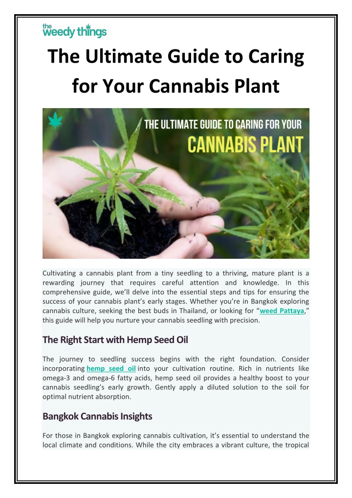 the ultimate guide to caring for your cannabis n.w