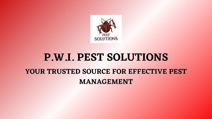 Safe and Efficient Wasps Control In Maine