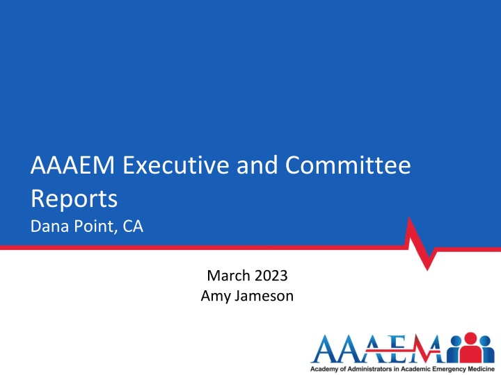 AAAEM Committee Reports and Financial Updates for March 2023