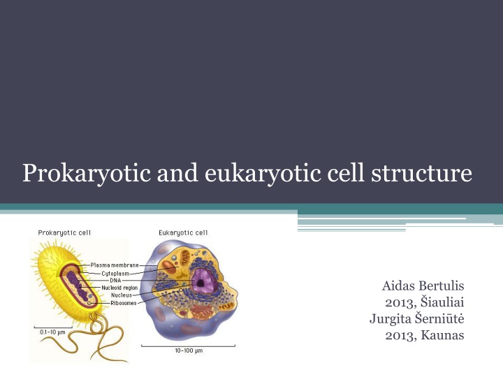 Prokaryotic and Eukaryotic Cell Structure