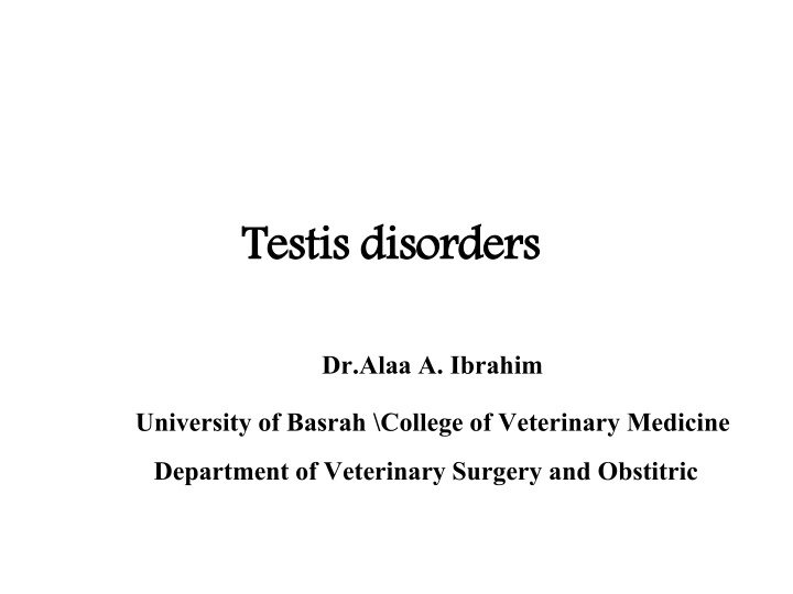Testis Disorders in Small Animals: A Veterinary Perspective