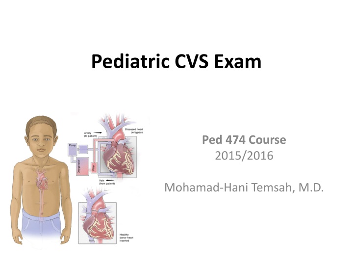 Pediatric Cardiovascular Exam Overview