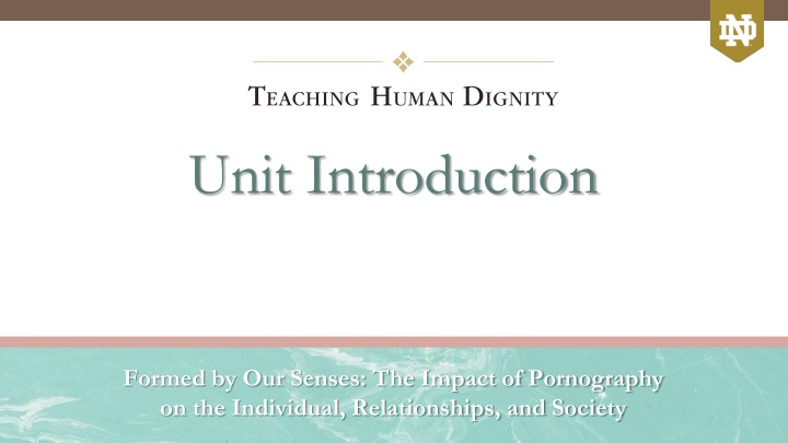 The Impact of Pornography: Lessons in Human Dignity