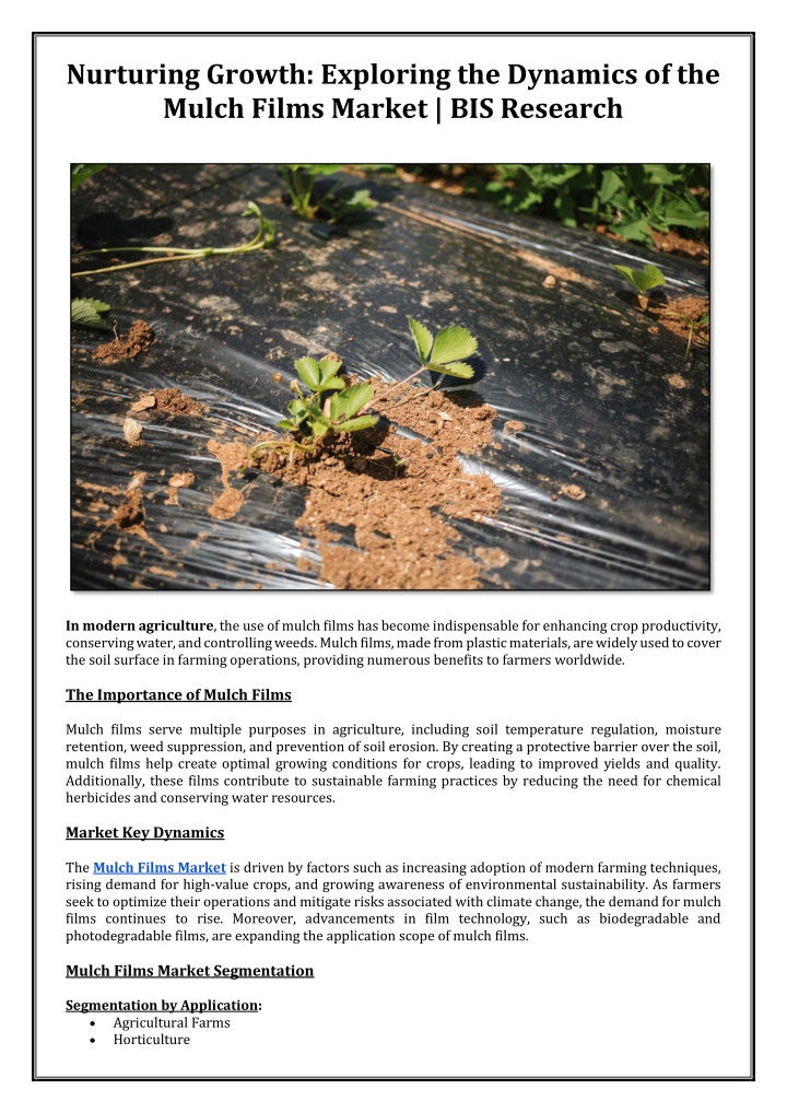 nurturing growth exploring the dynamics n.w